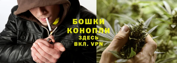 прущий лед Белокуриха