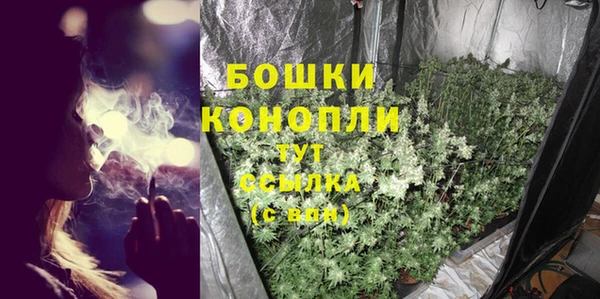 прущий лед Белокуриха