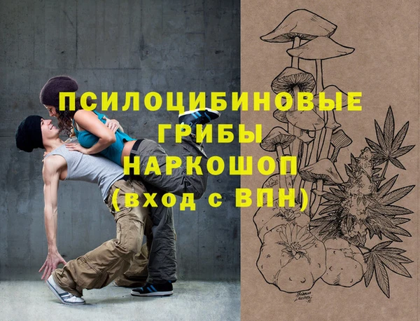 прущий лед Белокуриха