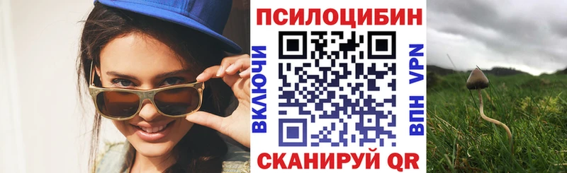 закладки Кушва Галлюциногенные грибы Psilocybine cubensis